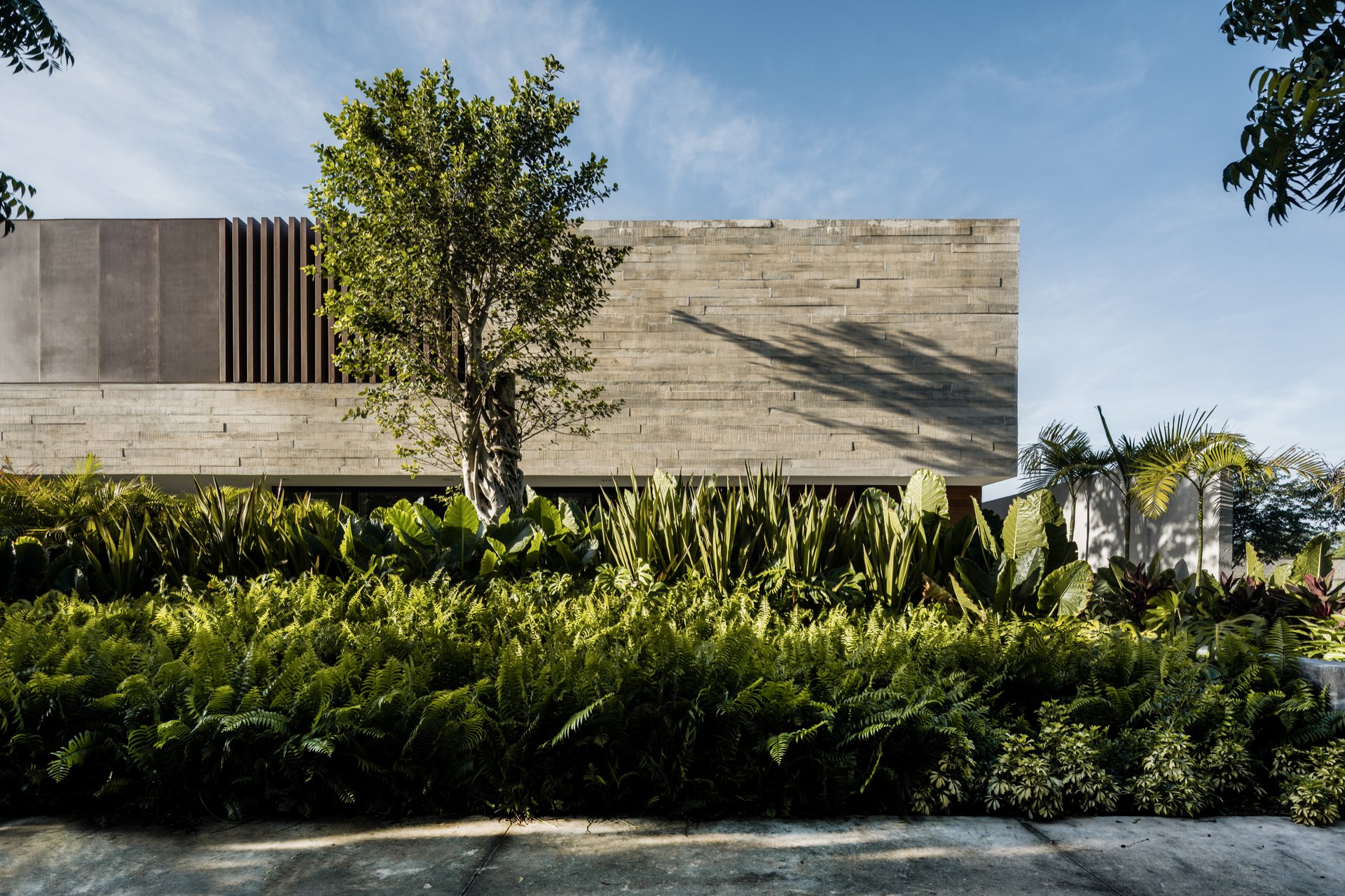 Casa Alpha, en Mérida, diseñada por Arkham Projects: la caja de concreto flotando sobre la vegetación del jardín, con un árbol al frente